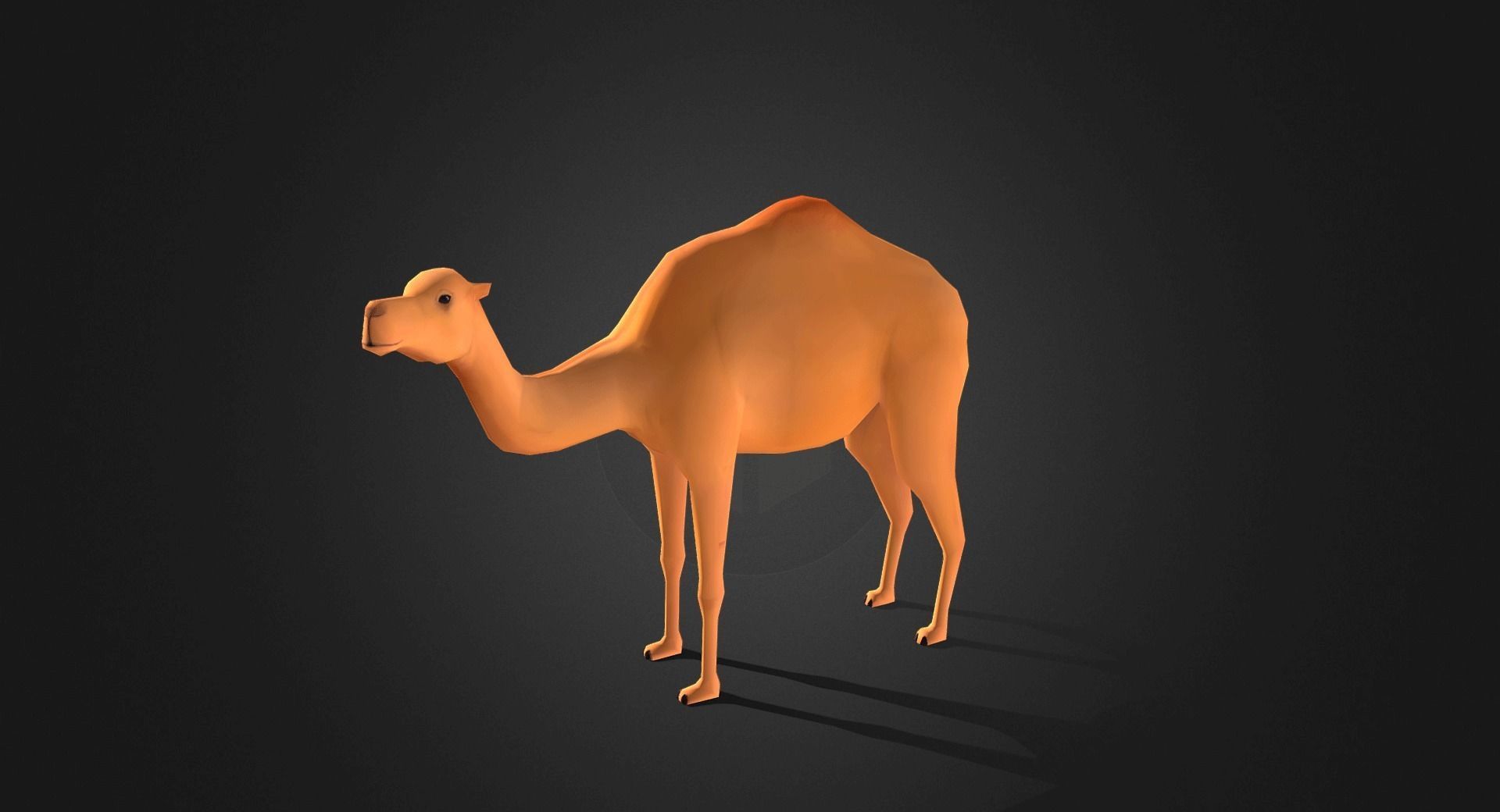 Low poly Camel - Idle Animated Low-poly 3D model_2