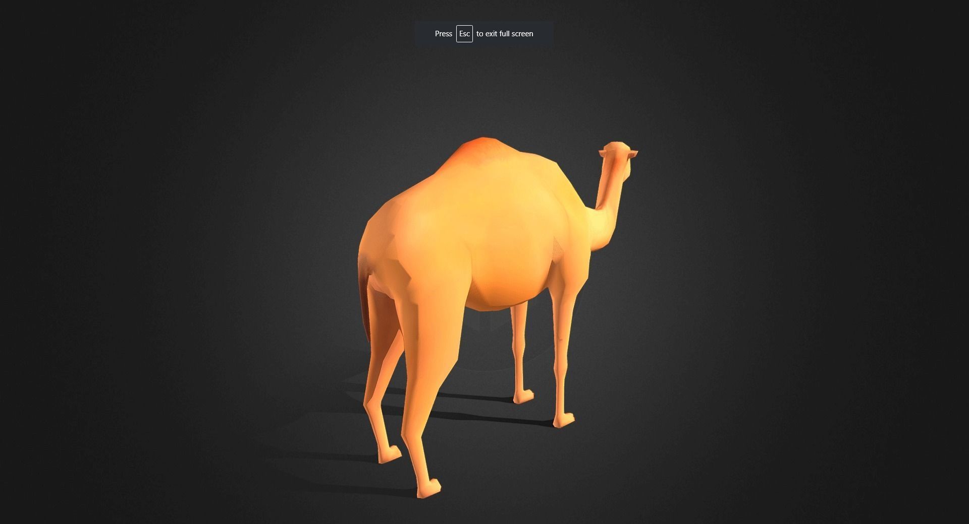 Low poly Camel - Idle Animated Low-poly 3D model_7