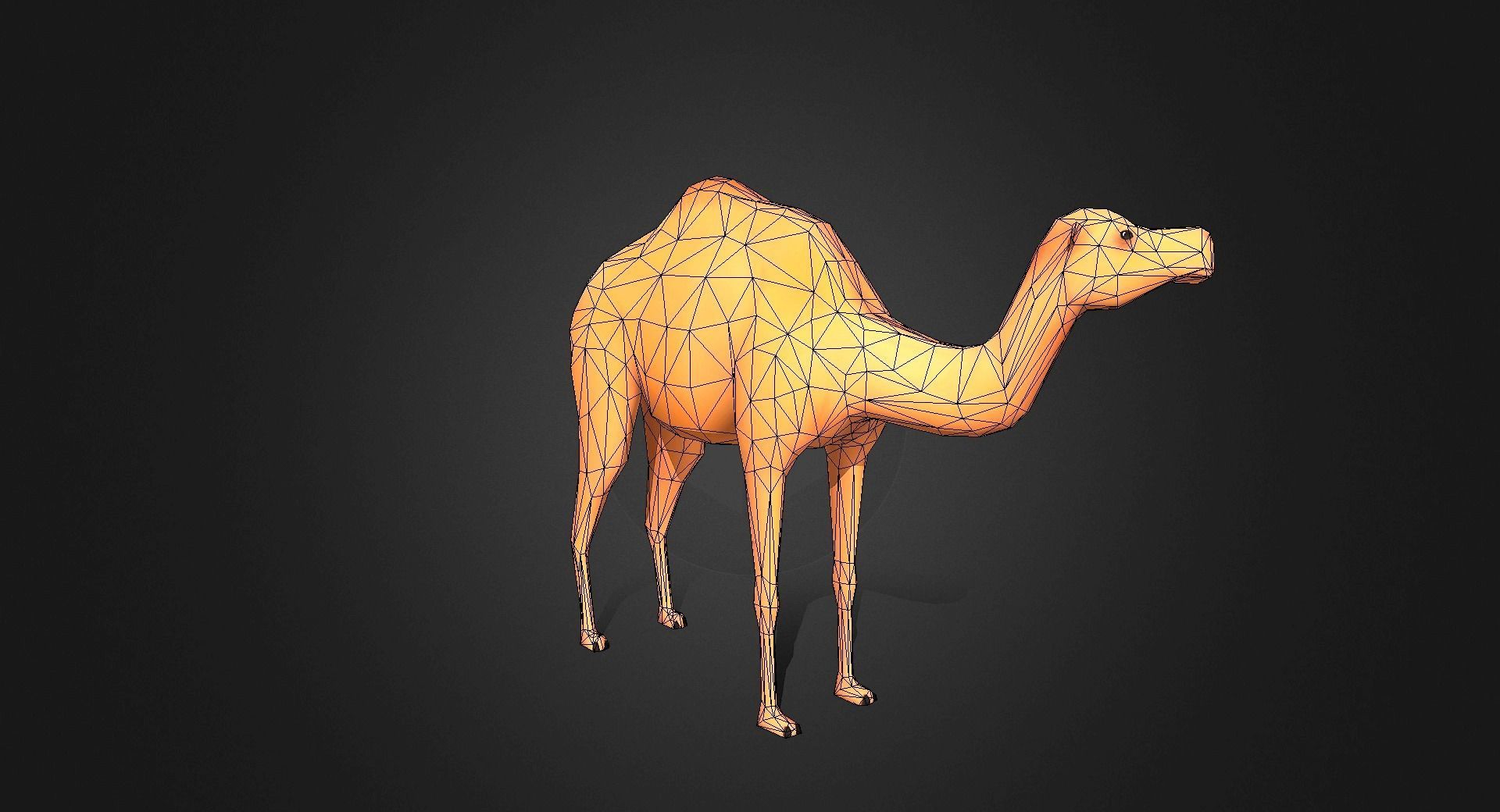 Low poly Camel - Idle Animated Low-poly 3D model_5