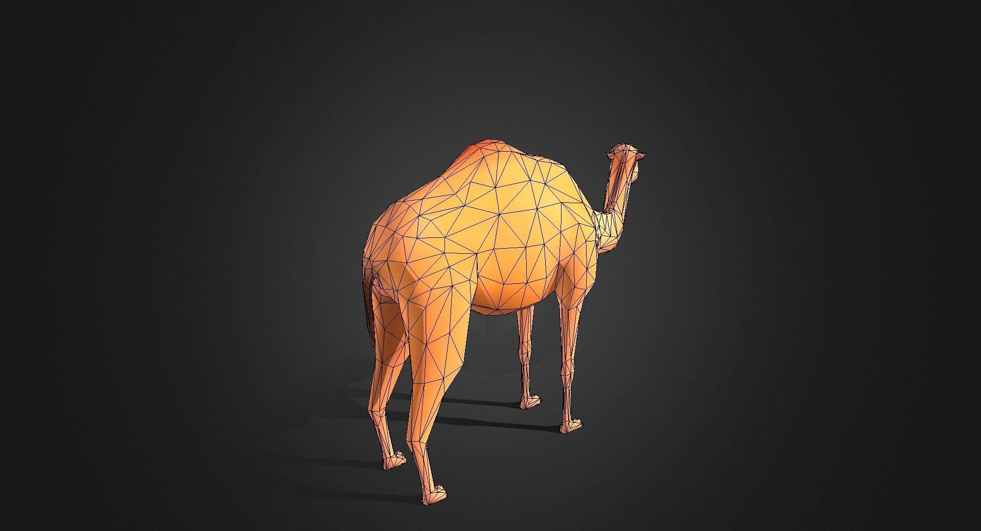 Low poly Camel - Idle Animated Low-poly 3D model_6