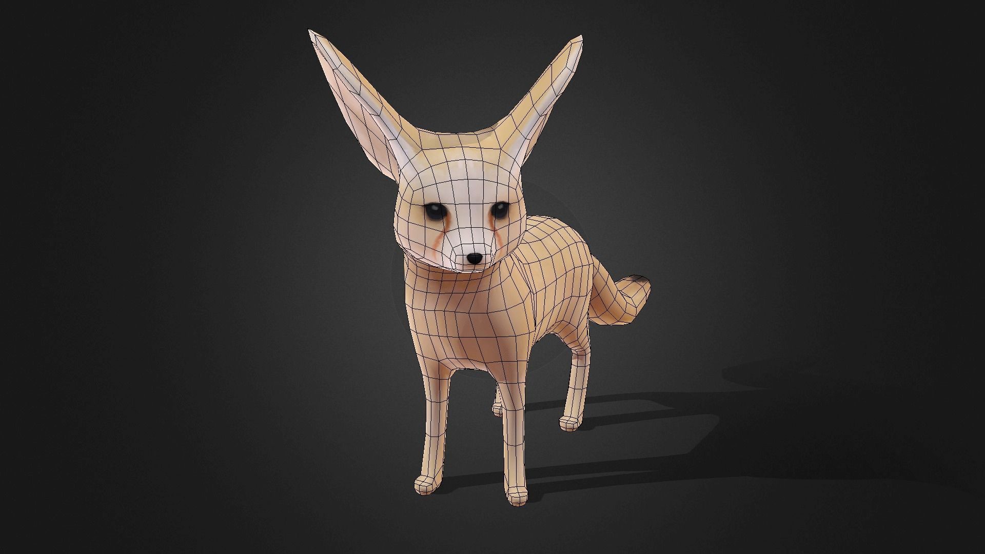 Low poly Fennec Fox - Idle Animated Low-poly 3D model_7