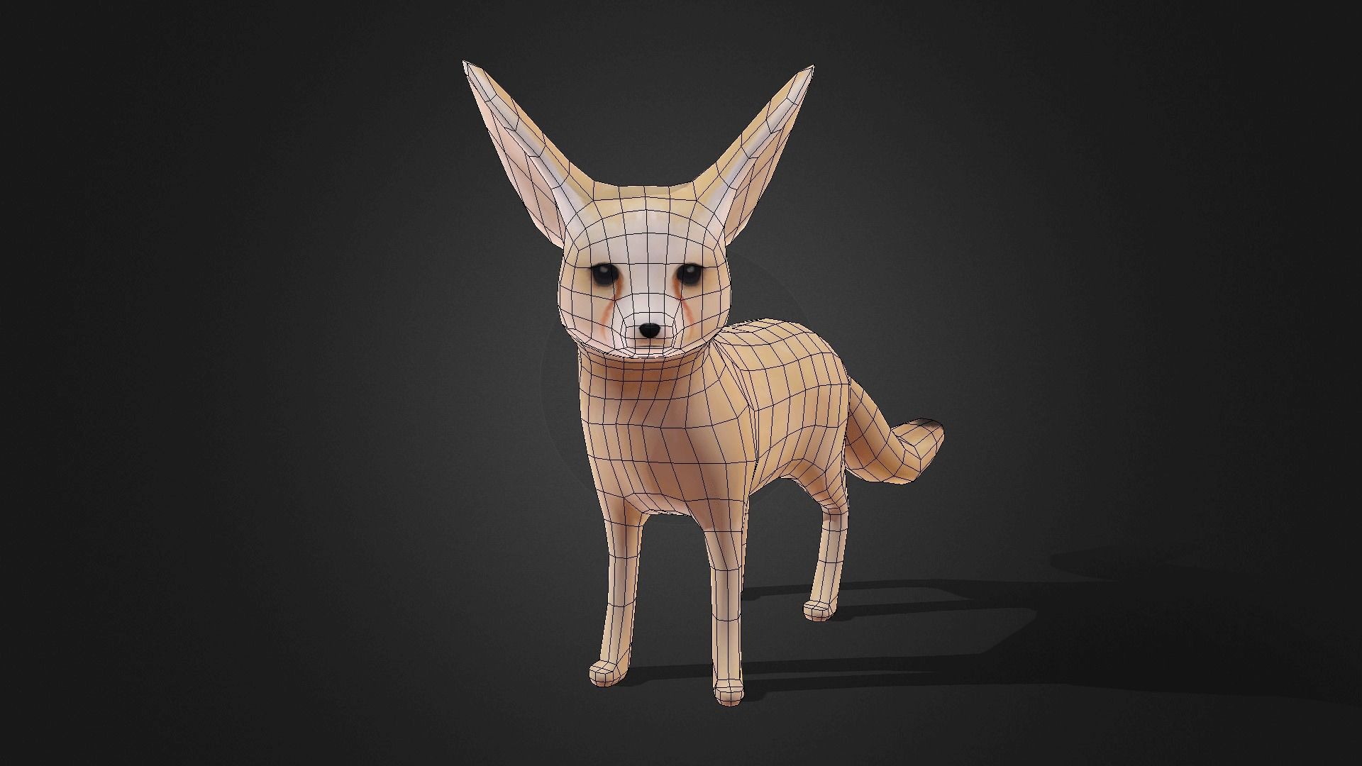 Low poly Fennec Fox - Idle Animated Low-poly 3D model_24