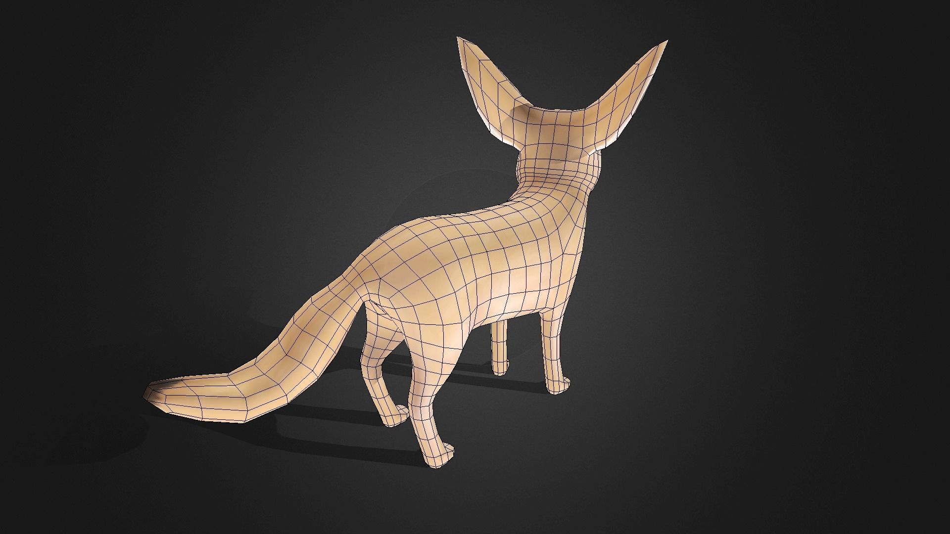 Low poly Fennec Fox - Idle Animated Low-poly 3D model_12