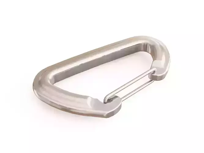 Carabiner stainless steel