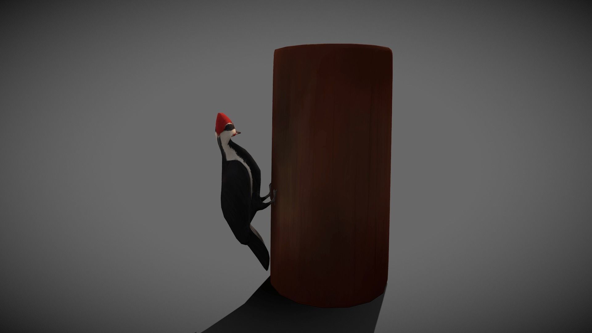 Low poly Woodpecker - Idle Animated Low-poly 3D model_9