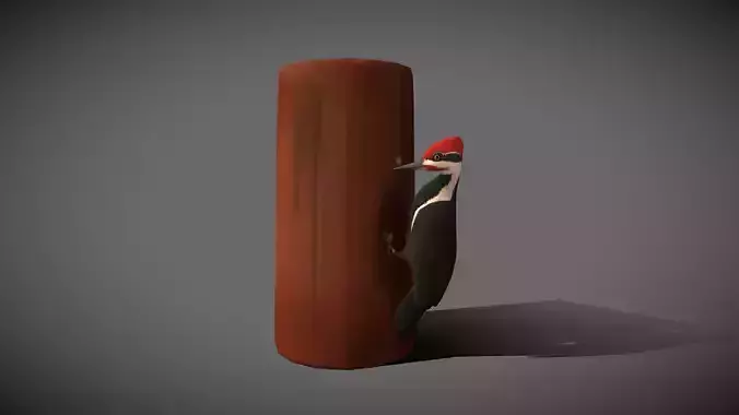 Low poly Woodpecker - Idle Animated Low-poly 3D model