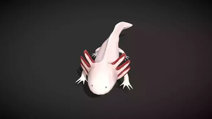 Low poly Axolotyl - Idle Animated