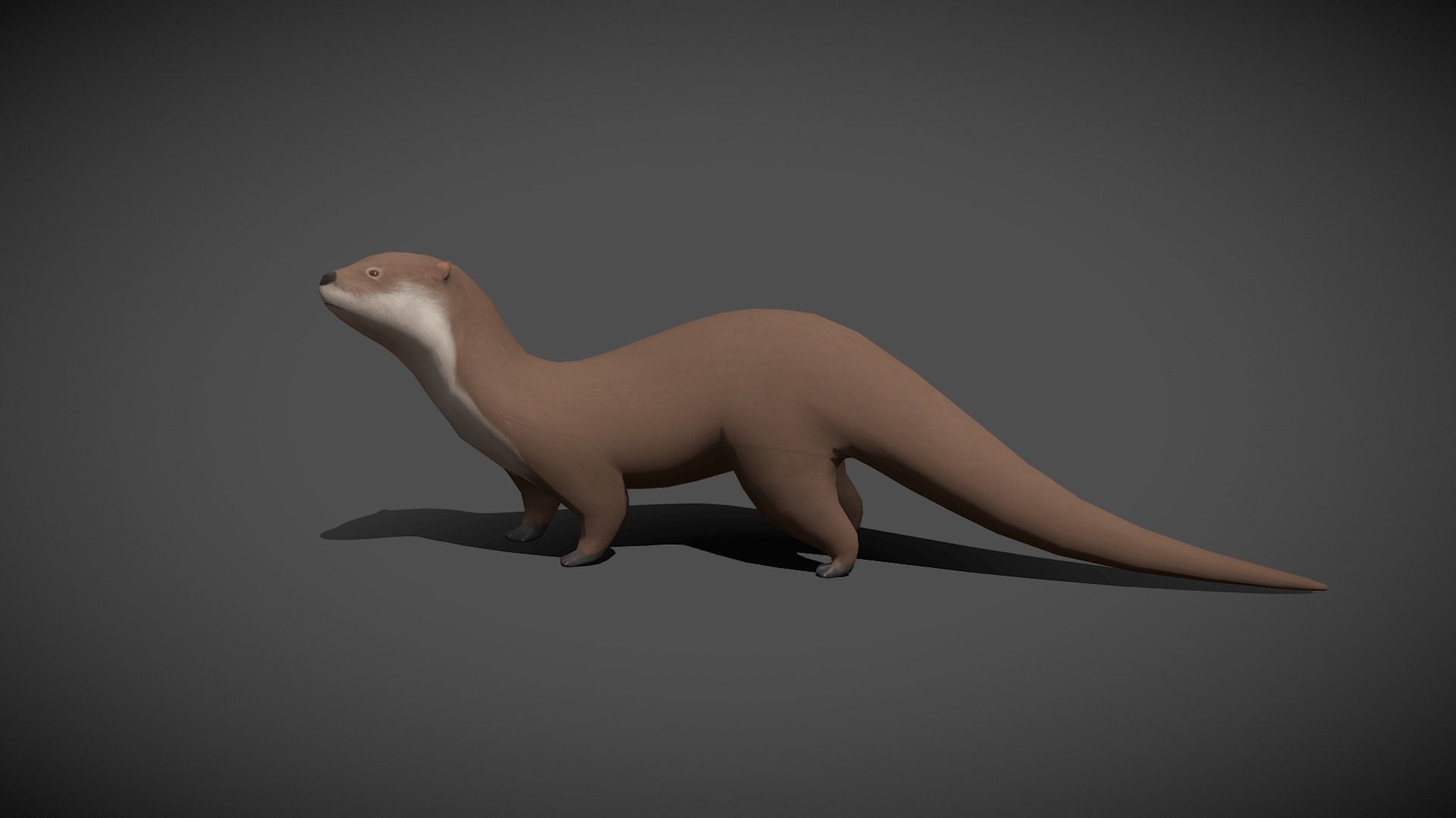 Low poly Otter - Idle Animated Low-poly 3D model_7