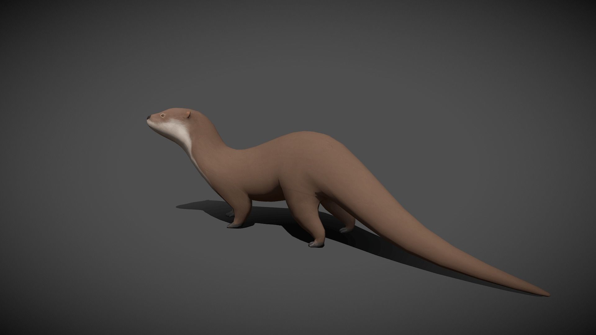 Low poly Otter - Idle Animated Low-poly 3D model_5