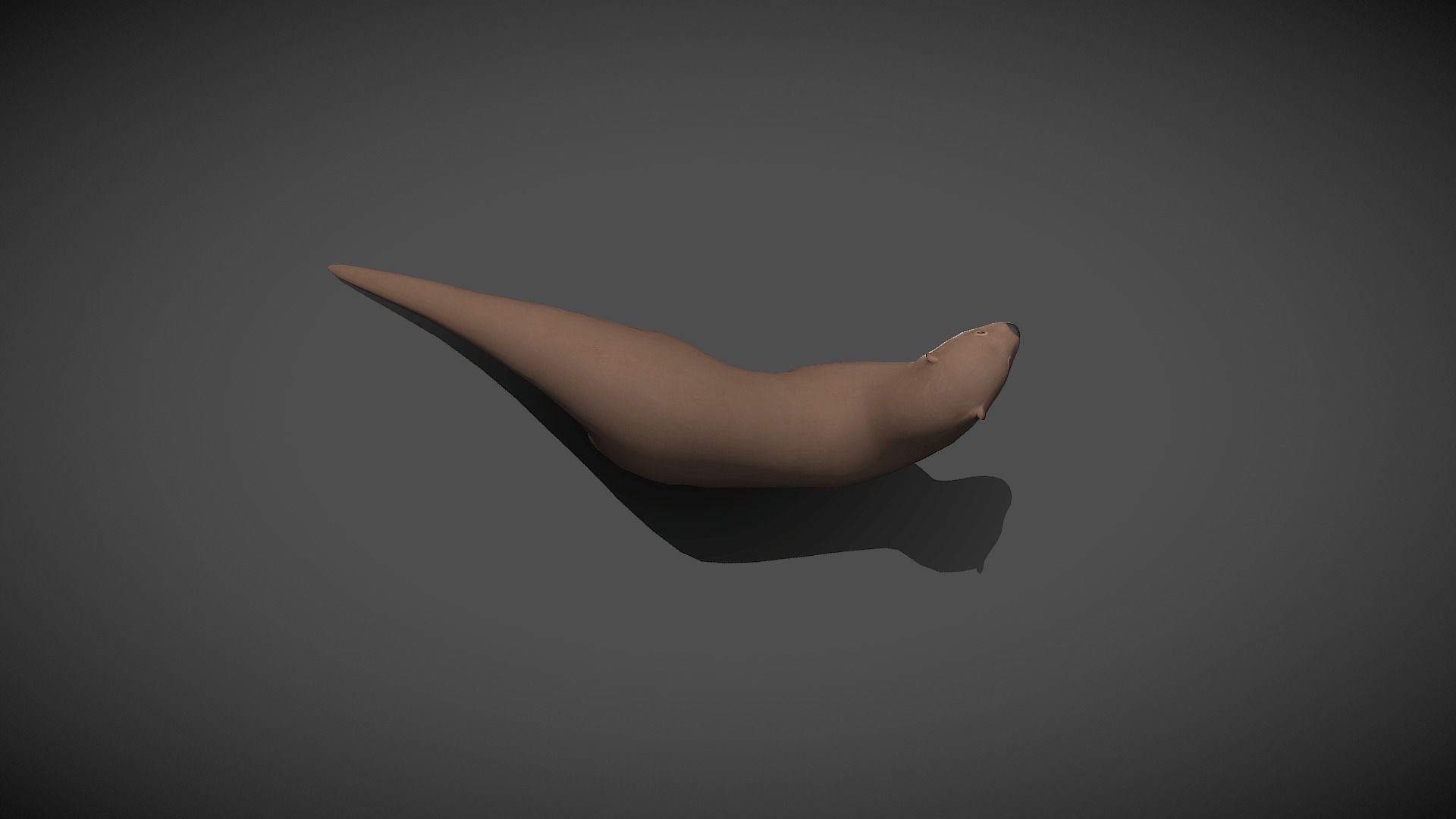 Low poly Otter - Idle Animated Low-poly 3D model_11