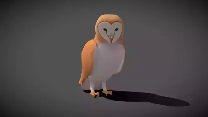 Low poly Barn Owl  - Idle Animated Low-poly 3D model