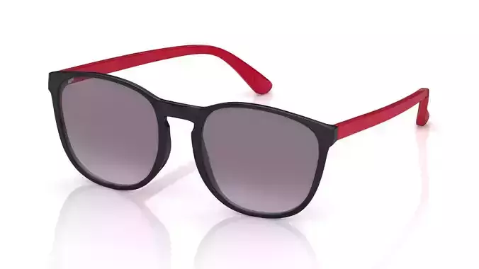Eyeglasses for Men and Women 3D print model