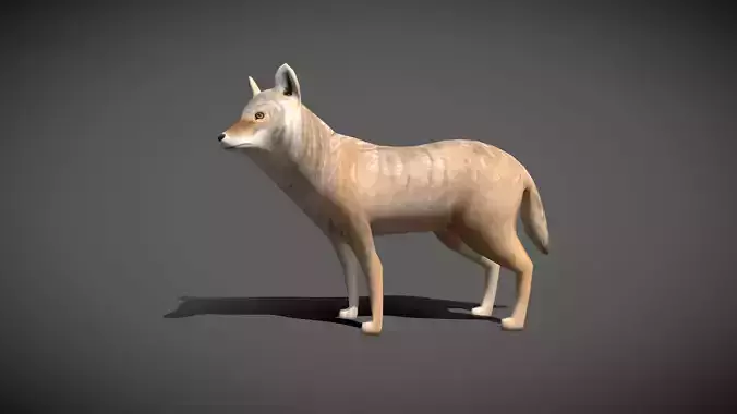 Low poly Coyote - Idle Animated
