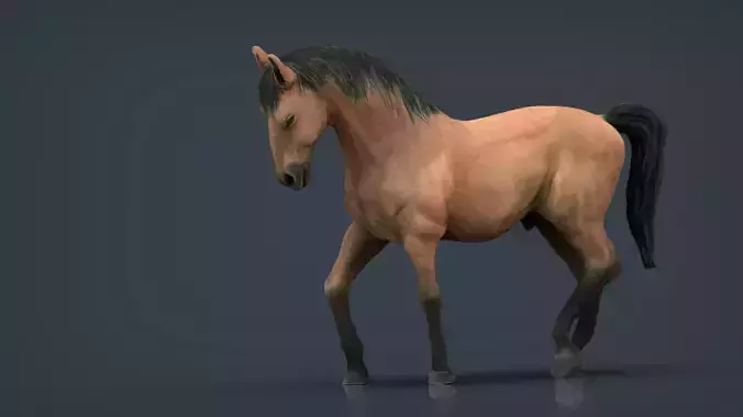 SPANISH HORSE