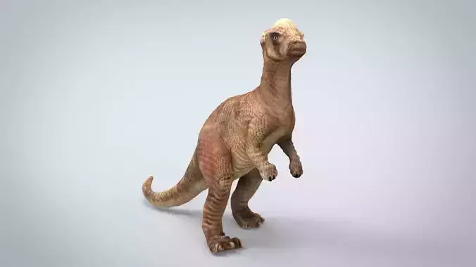 PACHISEPHALOSAURUS dinosaur