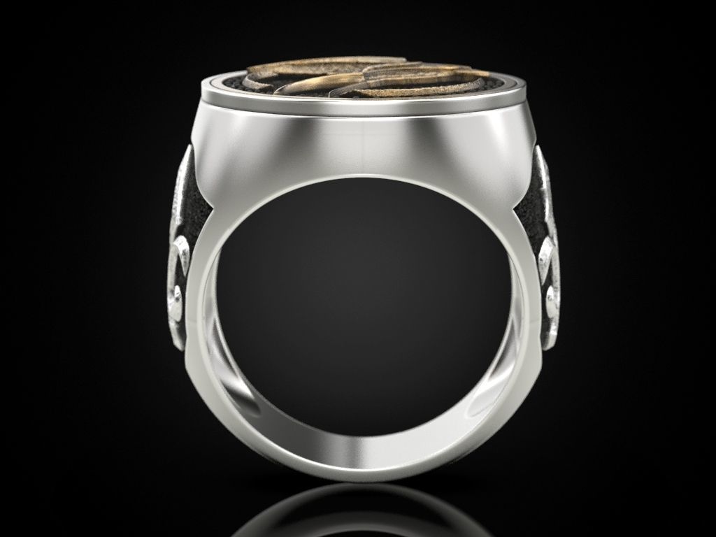 Swallow Ciri witcher ring 3D print model_8