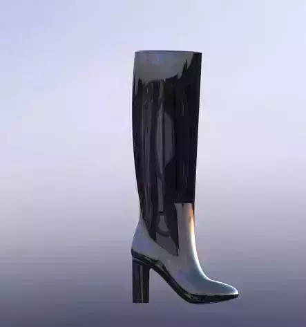Woman Boots Block Heel 3D print model