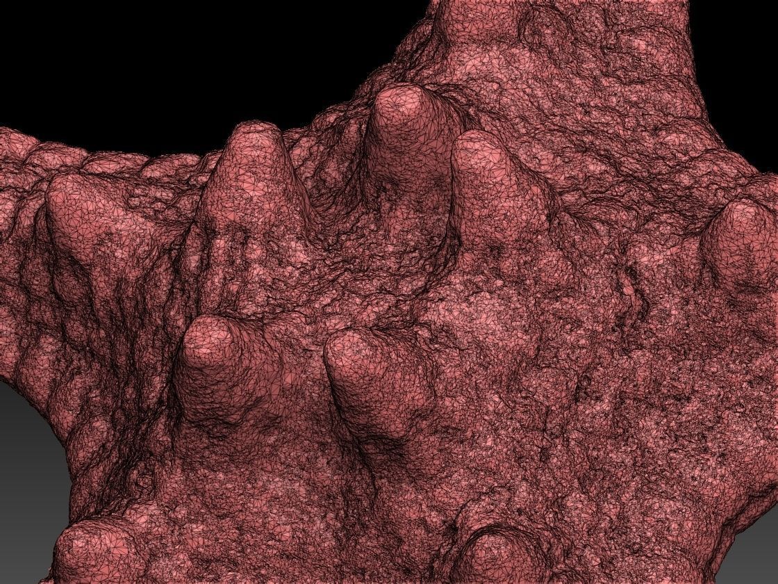 Starfish high detail scan 3D model_10