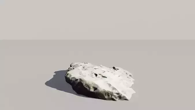 Fossil Rock 3d Scanned Model