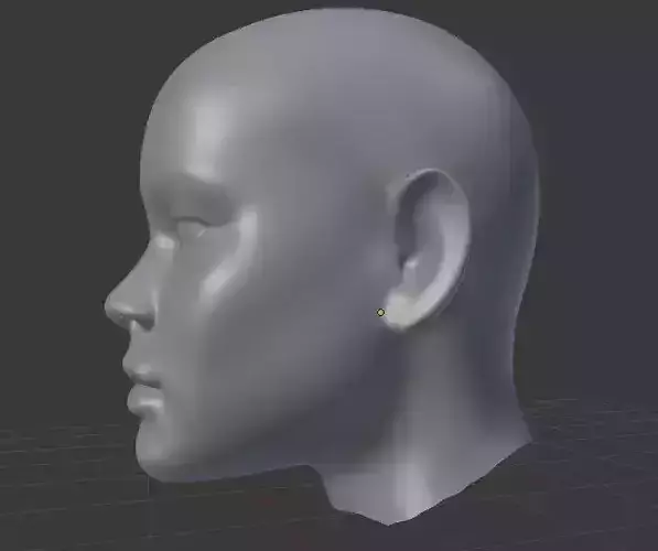 afroamerican woman head