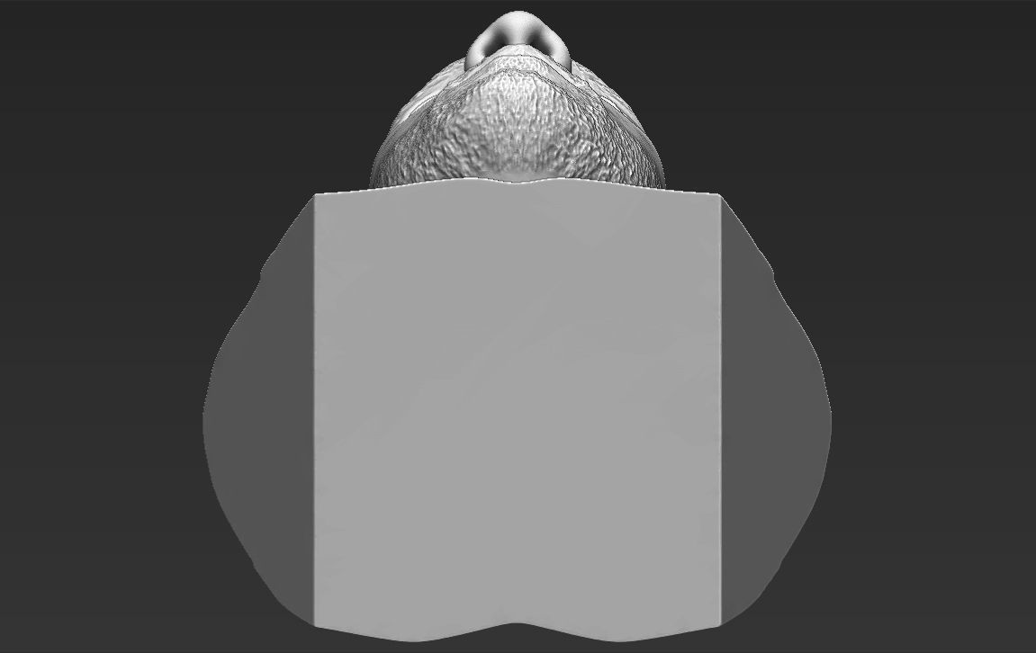 Tim Duncan bust 3D printing ready stl obj formats 3D print model_19