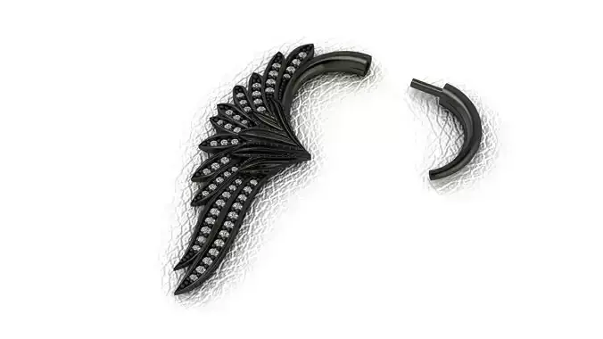 Tasli kartal kanadi kupe