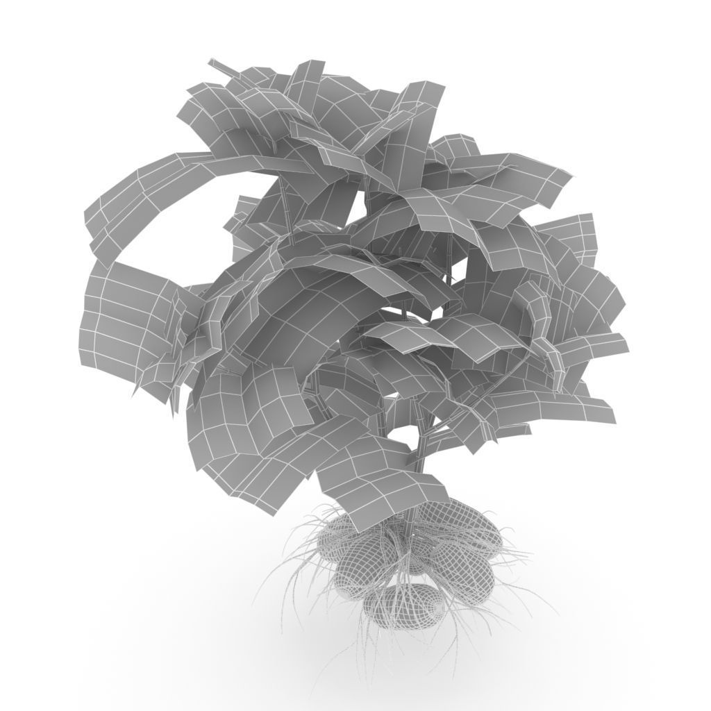 Potato plant 3D model_2