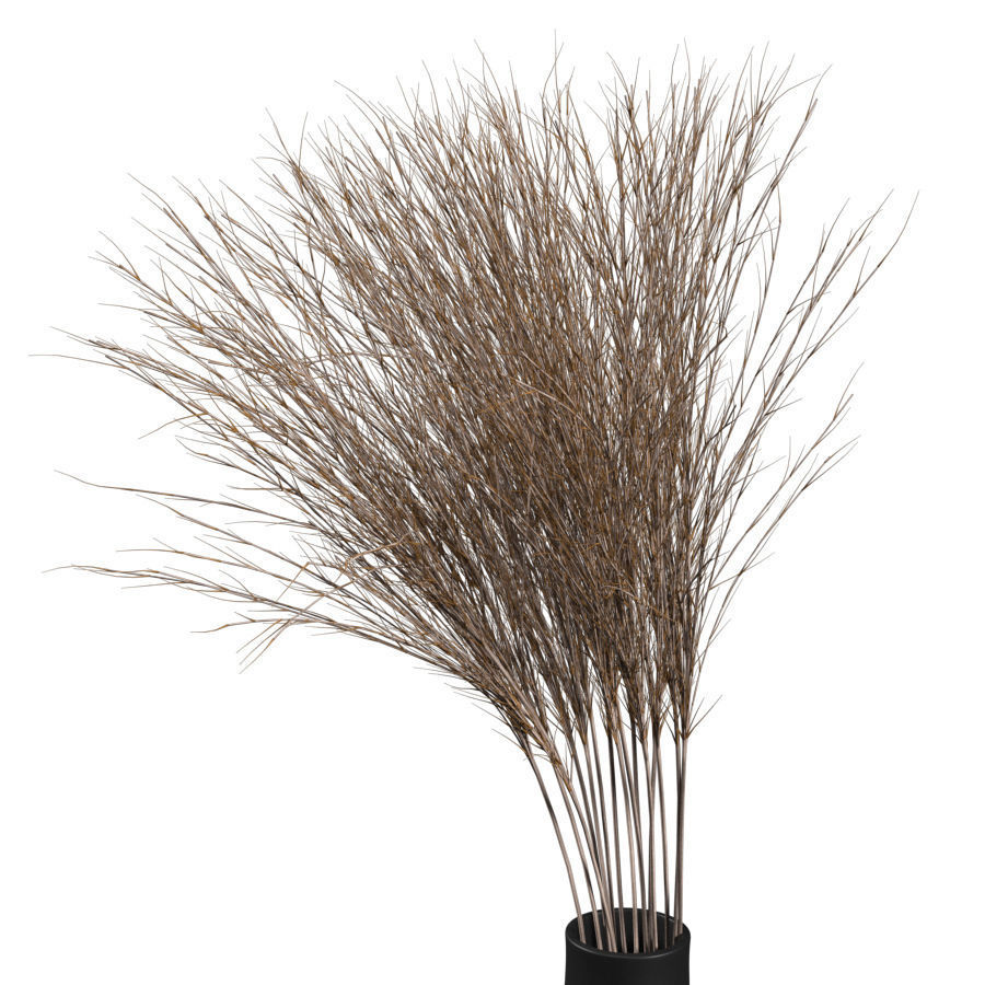 Bouquet of dried flowers 3D model_2