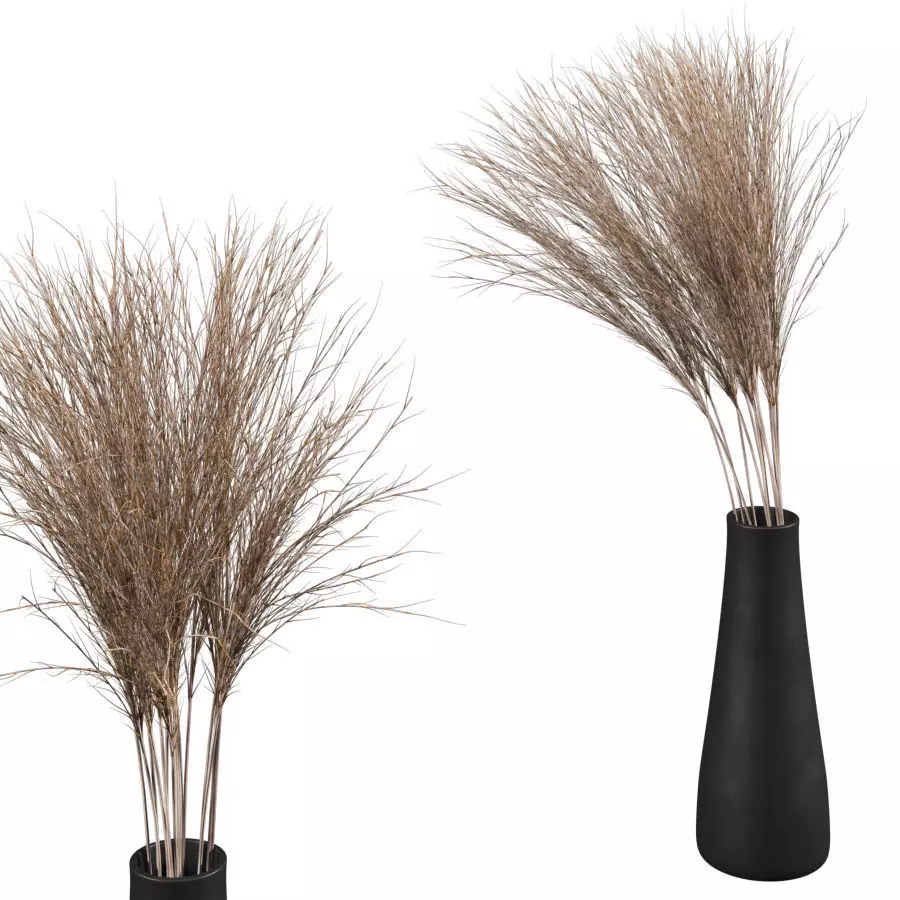 Bouquet of dried flowers 3D model_0