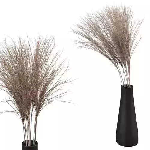 Bouquet of dried flowers