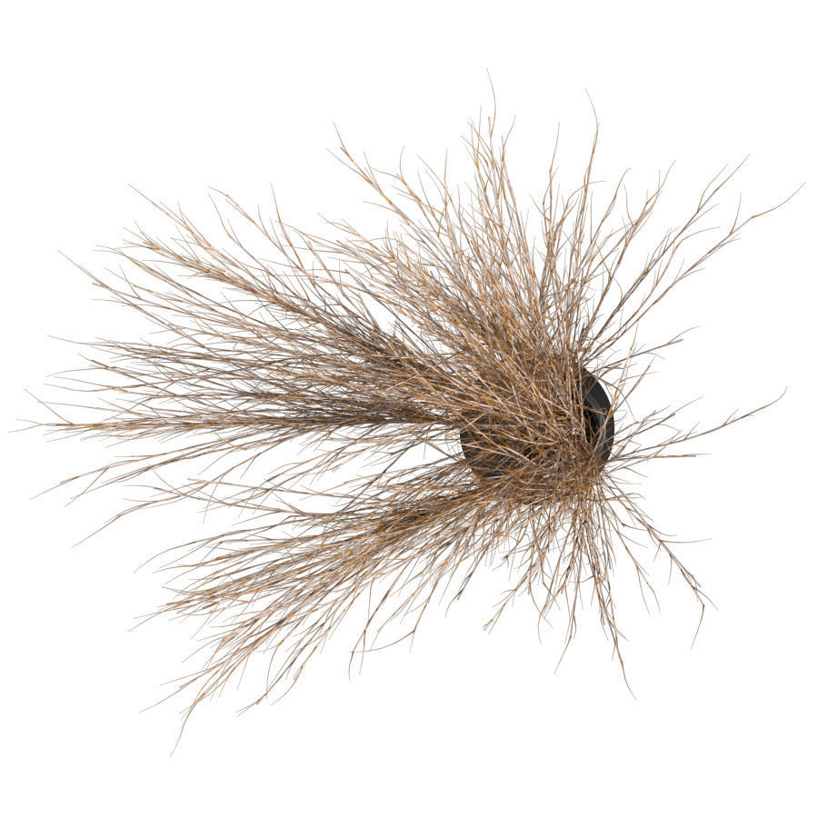 Bouquet of dried flowers 3D model_1