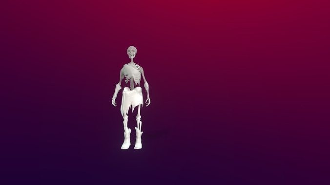 3d Skeleton 3D model