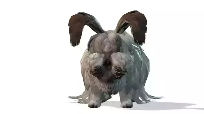 3D REALISTIC RABBIT ANIMATE RIGGED 