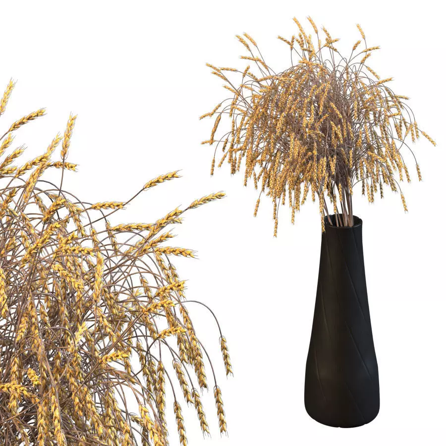 Decorative bouquet of ears of wheat 3D model_0