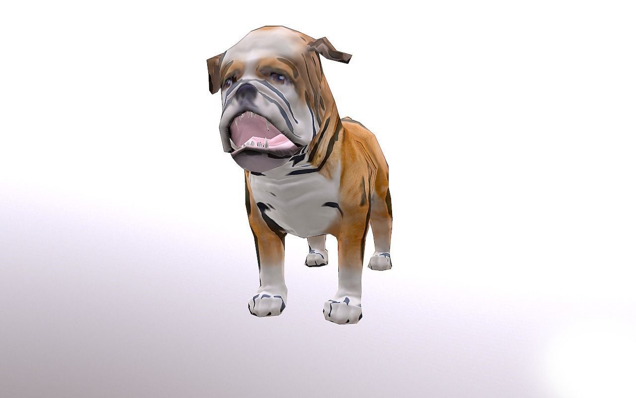 Bull Dog Low-poly 3D model_1
