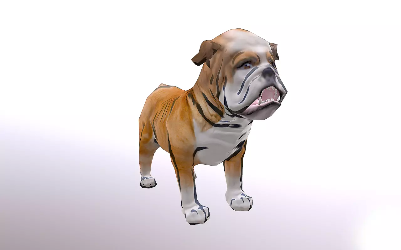 Bull Dog Low-poly 3D model_0