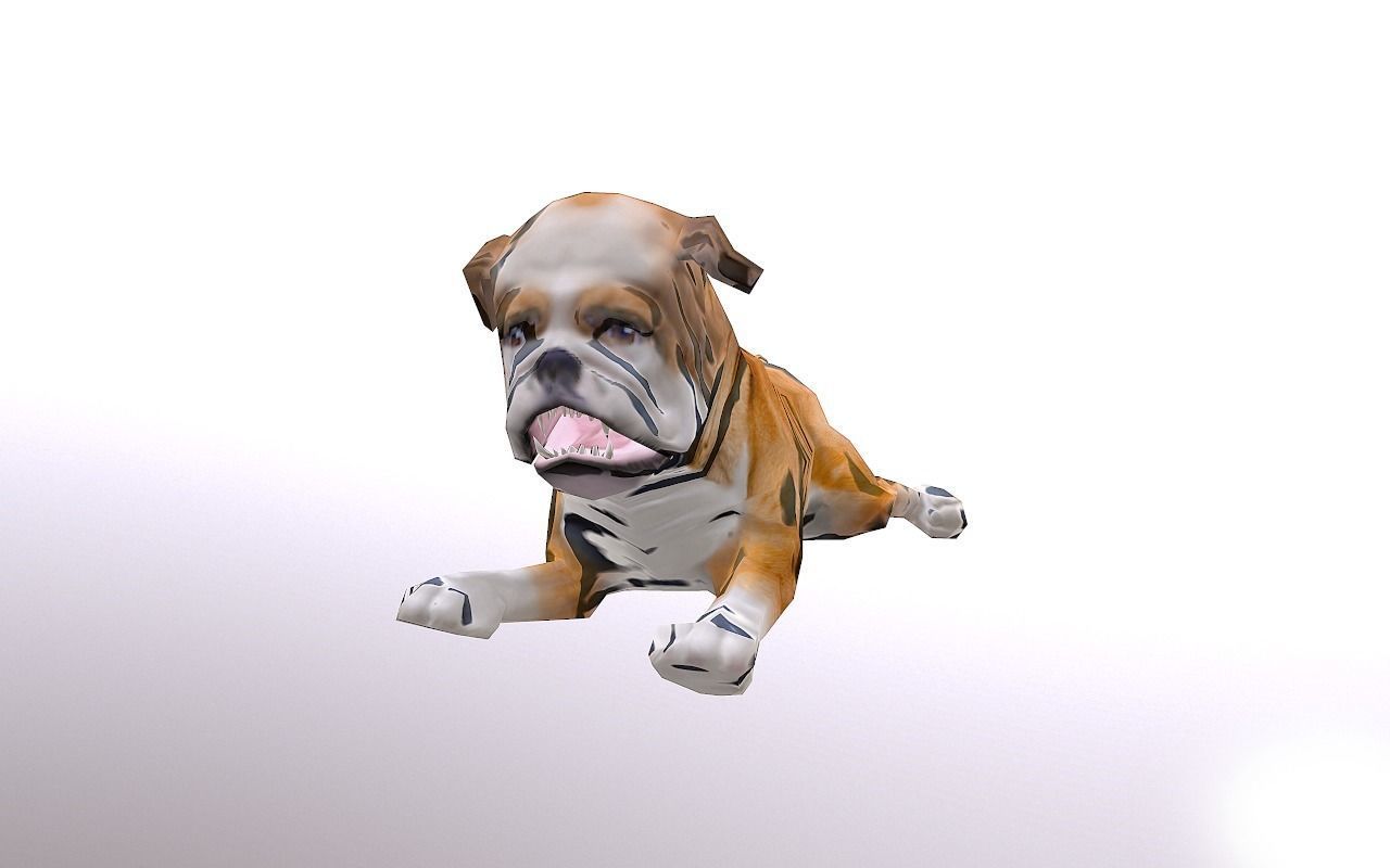 Bull Dog Low-poly 3D model_4