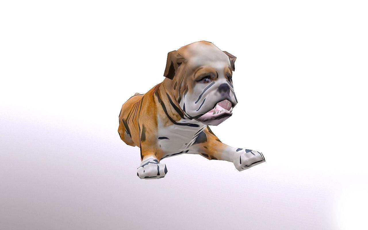 Bull Dog Low-poly 3D model_5