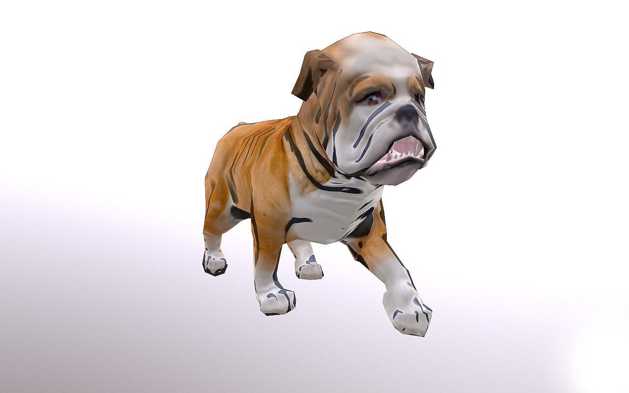 Bull Dog Low-poly 3D model_7