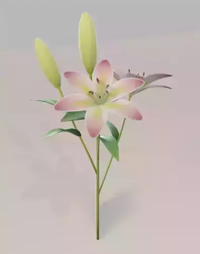 Lily 3D Model Low-poly 3D model