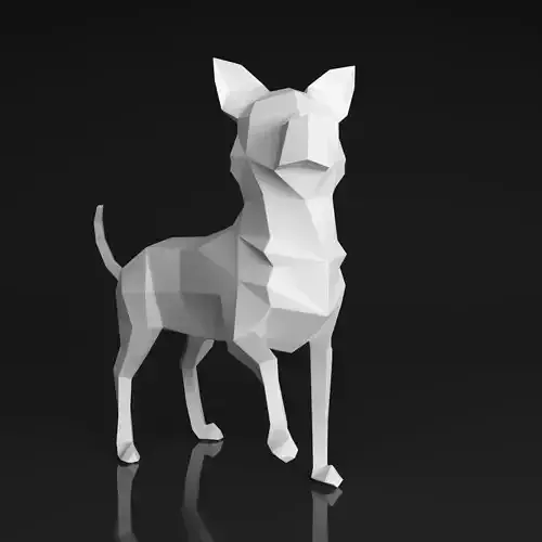Chihuahua polygonal dog