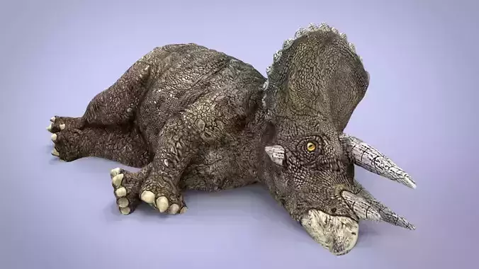 TRICERATOPS dinosaur Low-poly 3D model