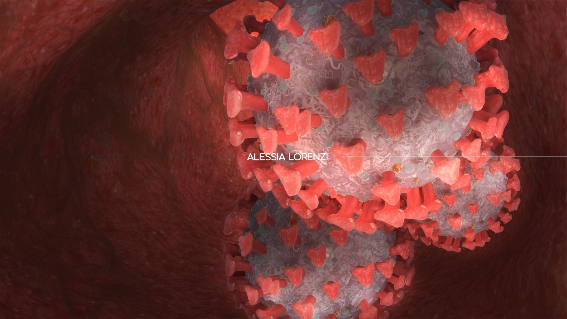 Coronavirus inside blood the complete PROFESSIONAL BUNDLE 3D model_8