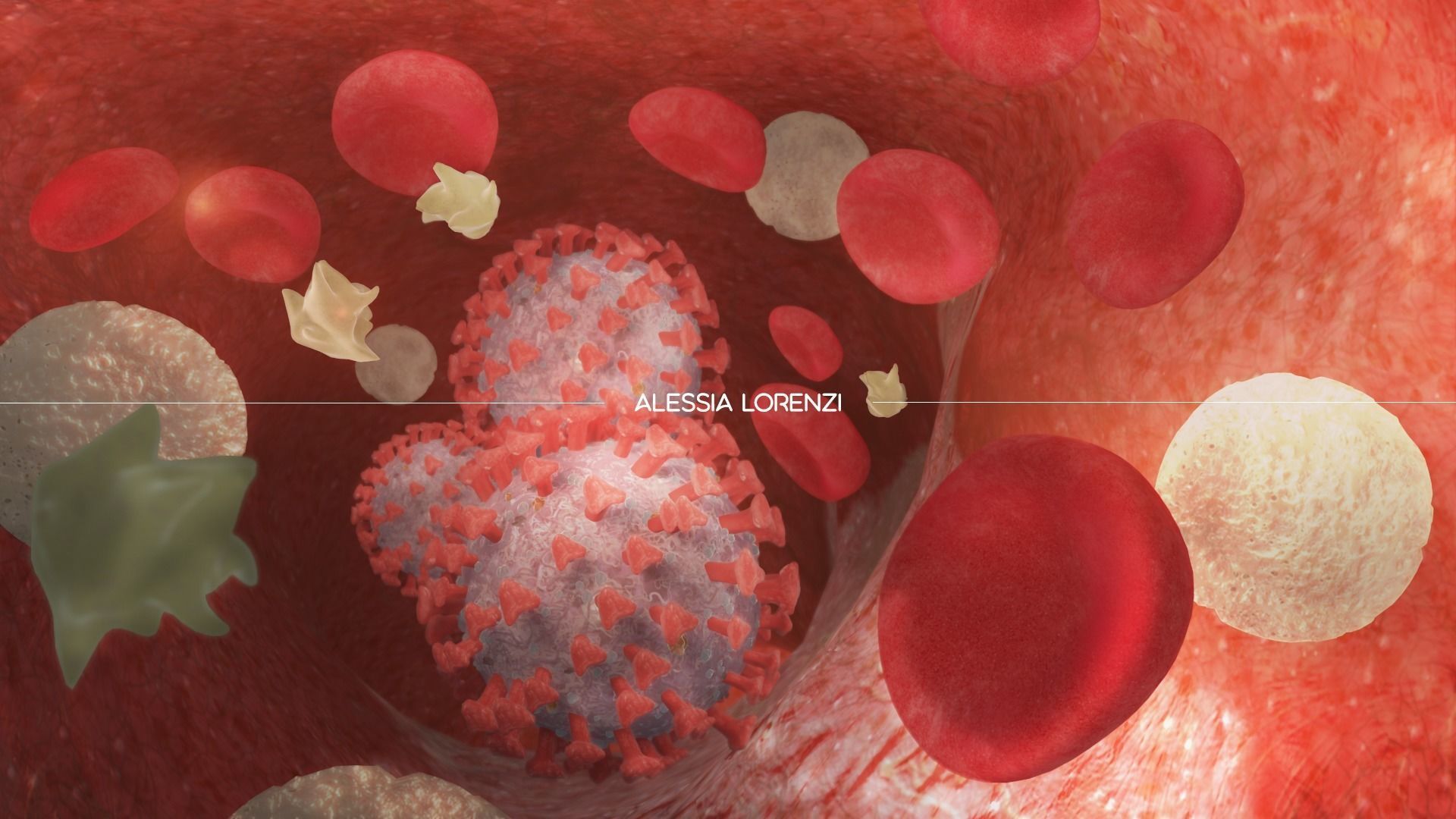 Coronavirus inside blood the complete PROFESSIONAL BUNDLE 3D model_7