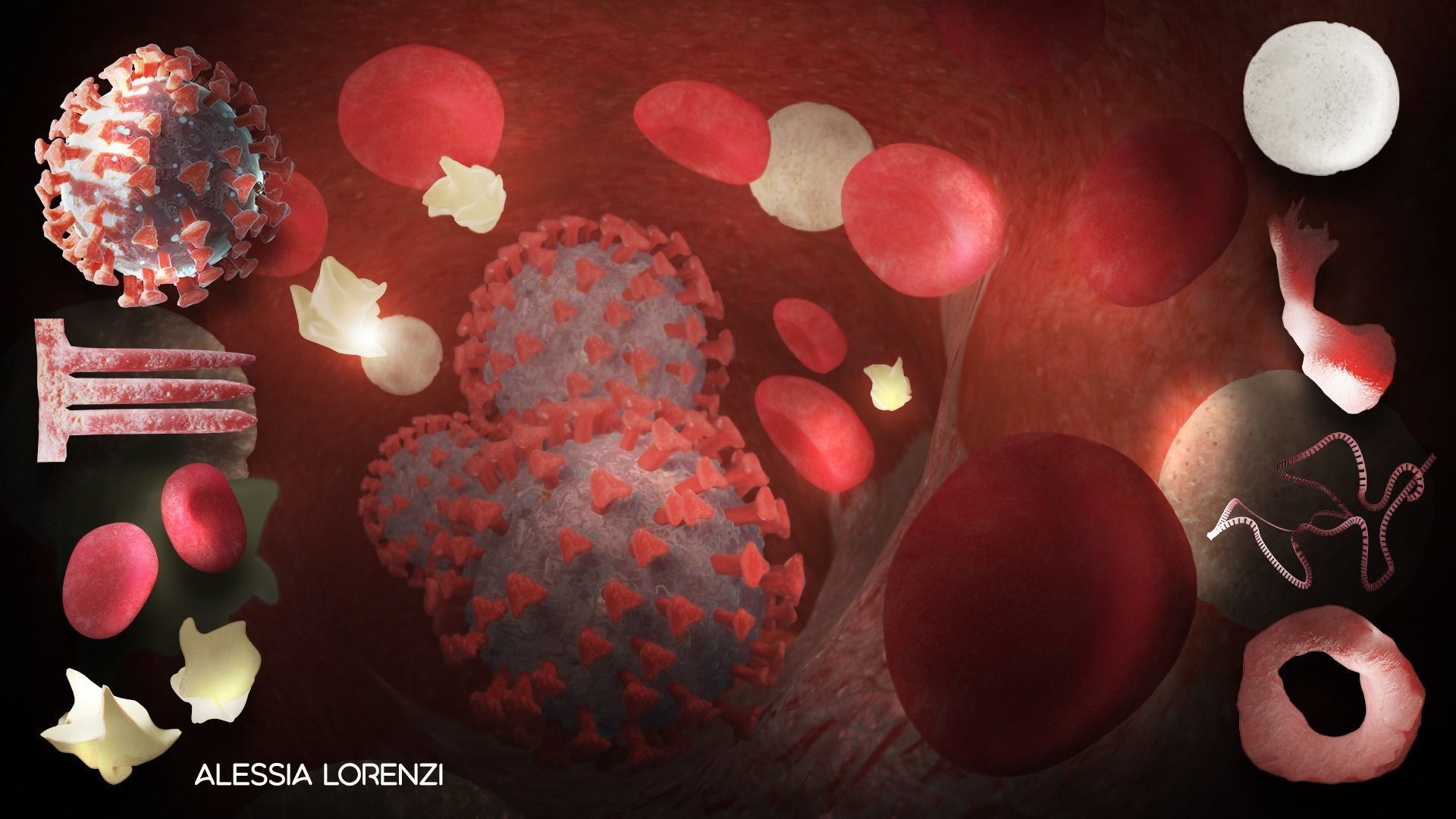 Coronavirus inside blood the complete PROFESSIONAL BUNDLE 3D model_3