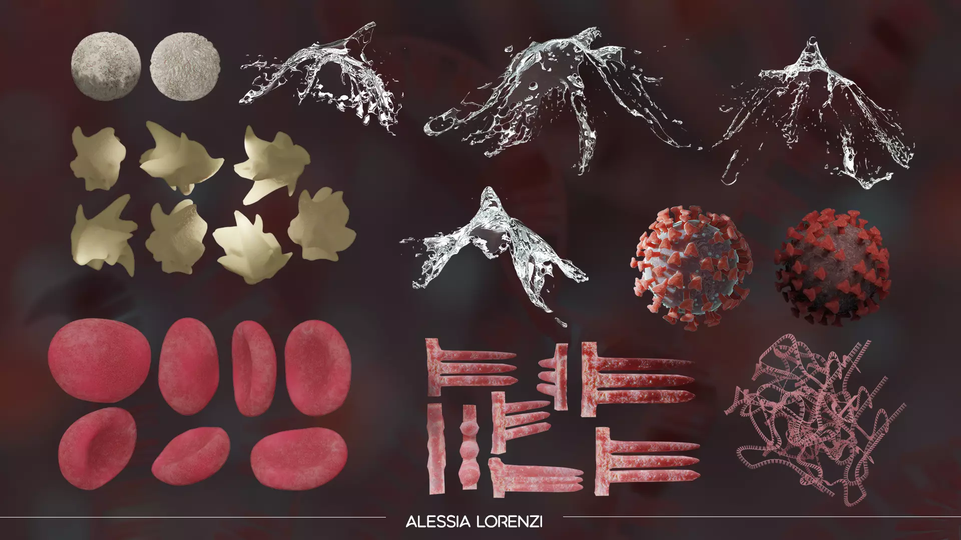 Coronavirus inside blood the complete PROFESSIONAL BUNDLE 3D model_0