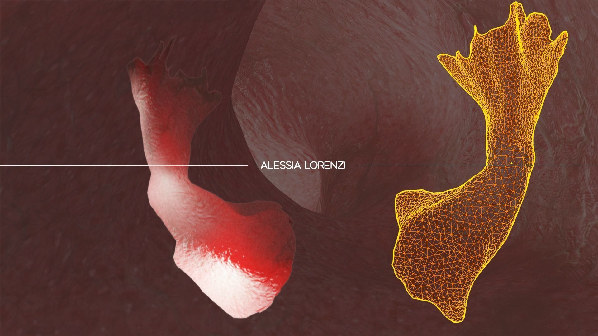 Coronavirus inside blood the complete PROFESSIONAL BUNDLE 3D model_27