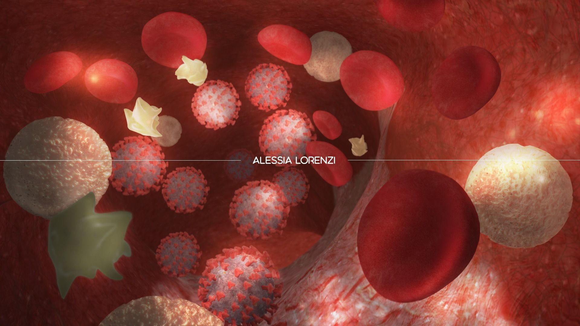 Coronavirus inside blood the complete PROFESSIONAL BUNDLE 3D model_2