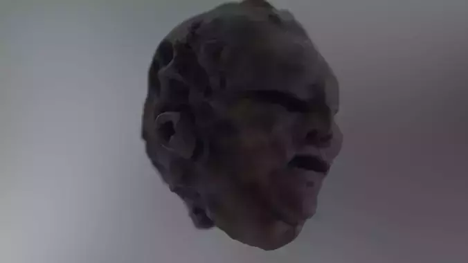 Double faced monster head