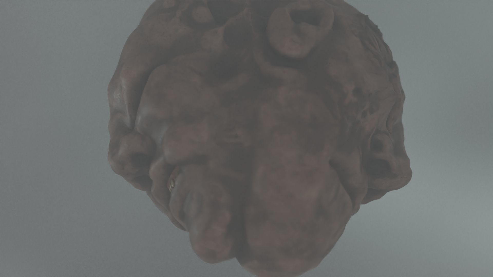 Double faced monster head Low-poly 3D model_3